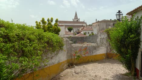 Lianas-Colgando-De-Las-Paredes-De-Una-De-Las-Muchas-Casas-En-El-Castillo-De-Óbidos