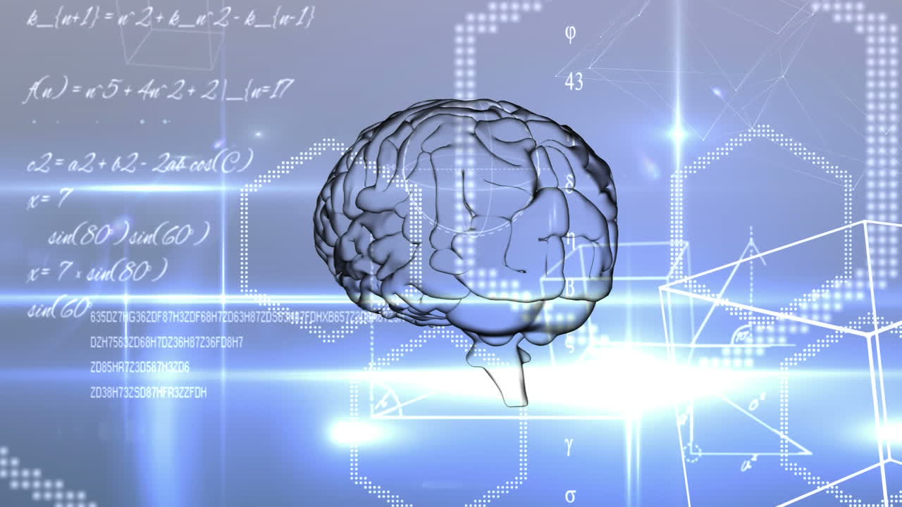 기술과 데이터 프로세싱으로 뇌의 애니메이션