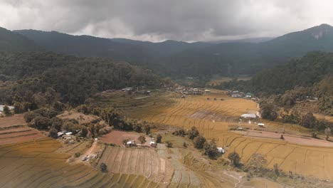 aerial view of a rice paddy in a mountain valley