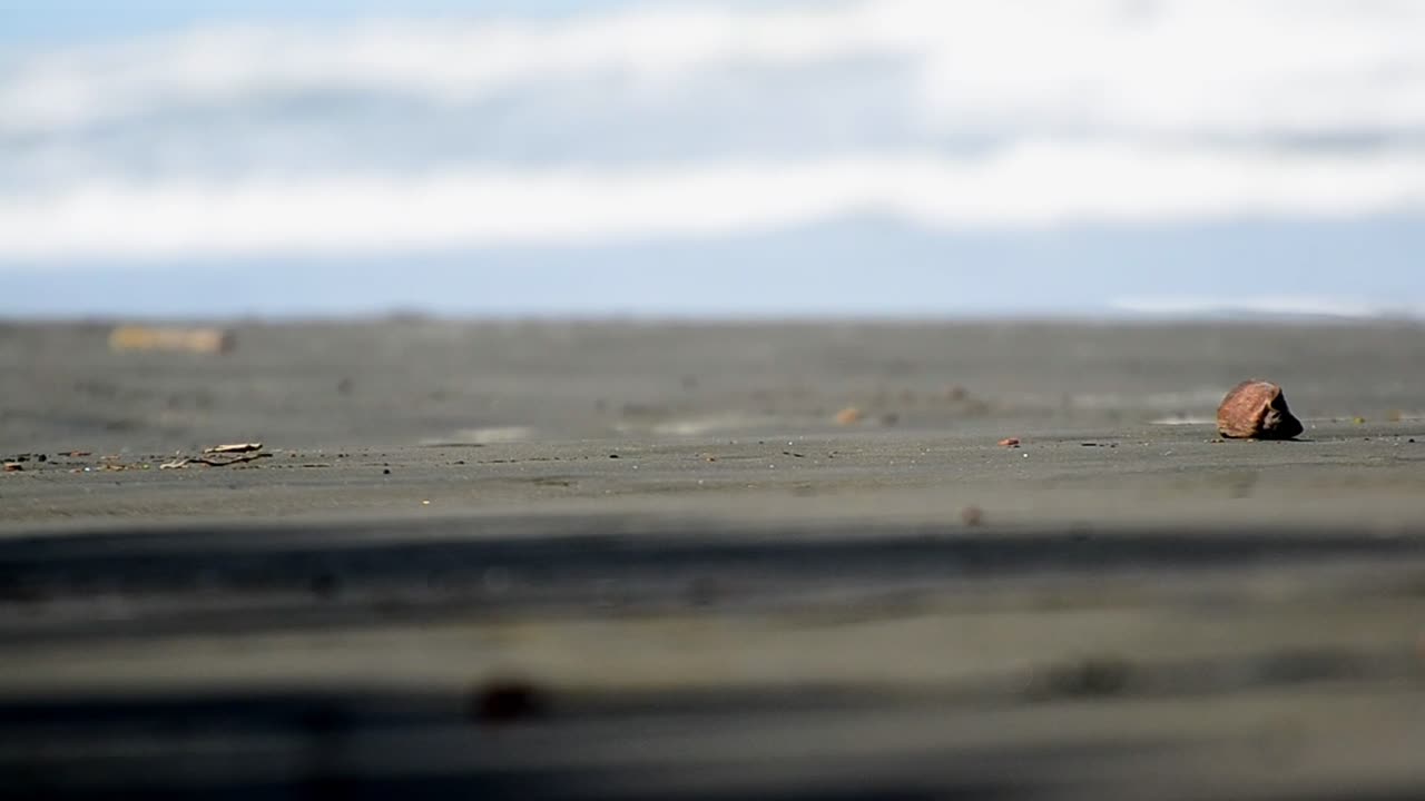 черный пляж кауиты, коста-рика в формате full hd