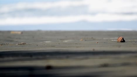 the black beach of cahuita, costa rica in full hd