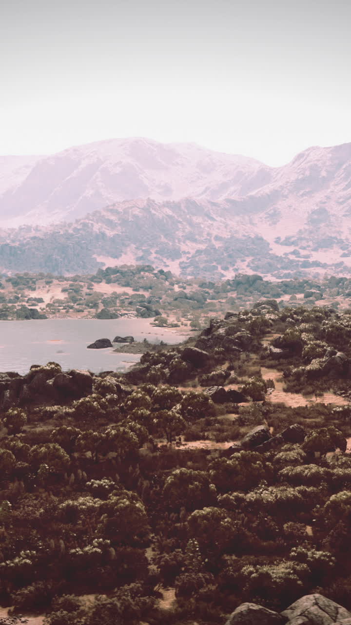 Paesaggio montuoso con lago e vegetazione desertica