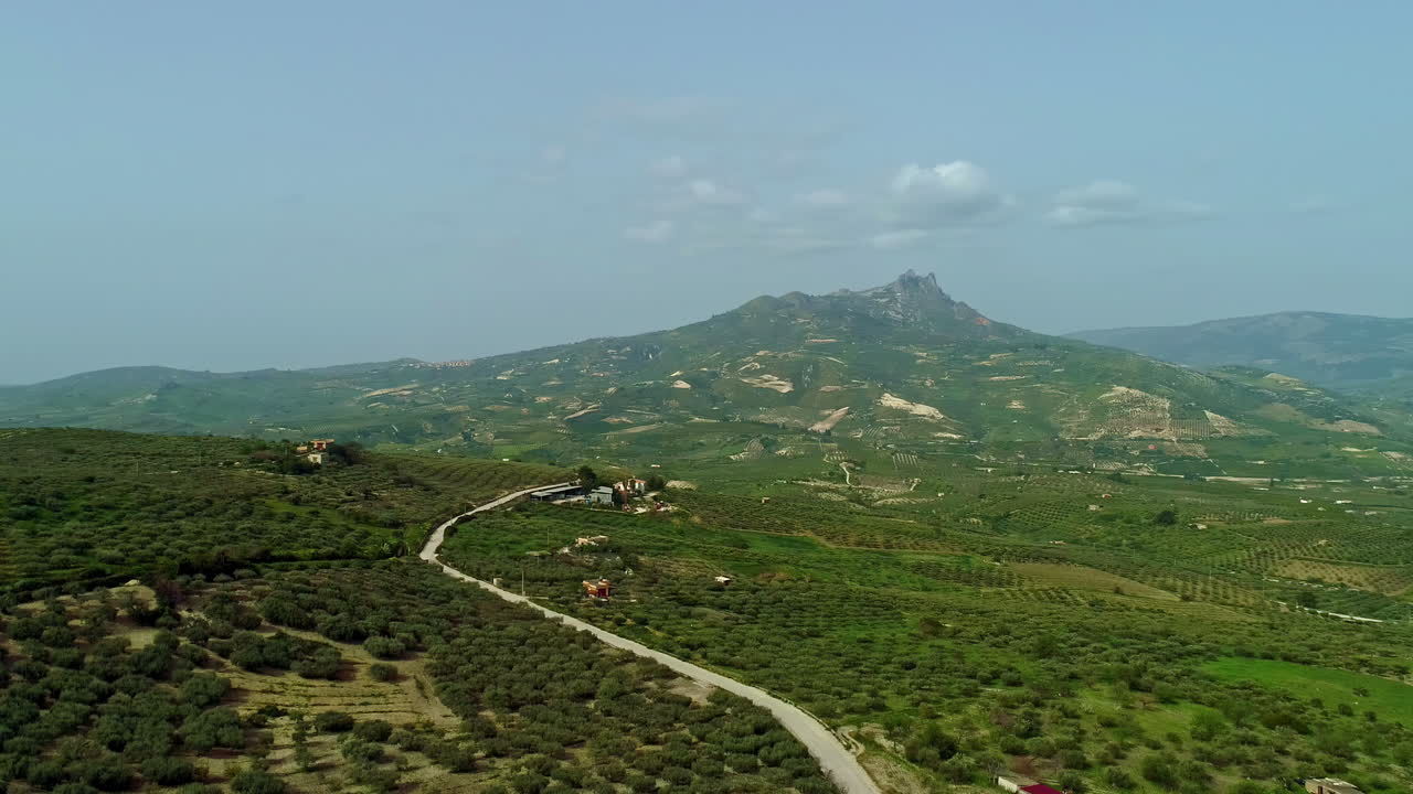 Vasti frutteti di aranci e ulivi nella campagna siciliana con vista sulle montagne, in Italia.
