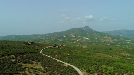 vast orchards of orange and olives in farmland of sicily with mountain views in italy