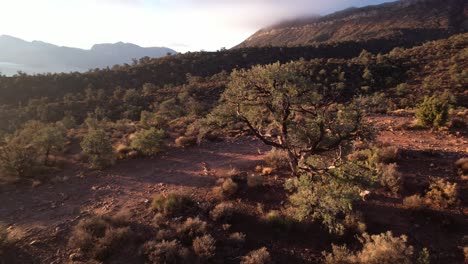 Lovell-Canyon-Red-Rock-Formación-California-Escénico-Aéreo-Paisaje-Natural-No-Contaminado-Belleza-De-La-Madre-Tierra