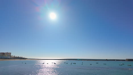 seagull standing on a sandy beach with a clear blue sky