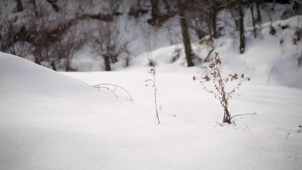 Snow covered ground in Kazakhstan