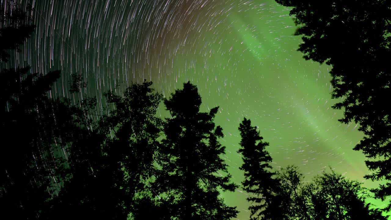 Looking up into the night sky through tree silhouettes at star trails and flashing Aurora.