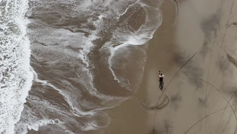 Dirt-Bike-rider-fun-ride-on-a-sandy-beach-in-Bali,-Indonesia-with-calm-waves-breaking,-Top-down-aerial-view