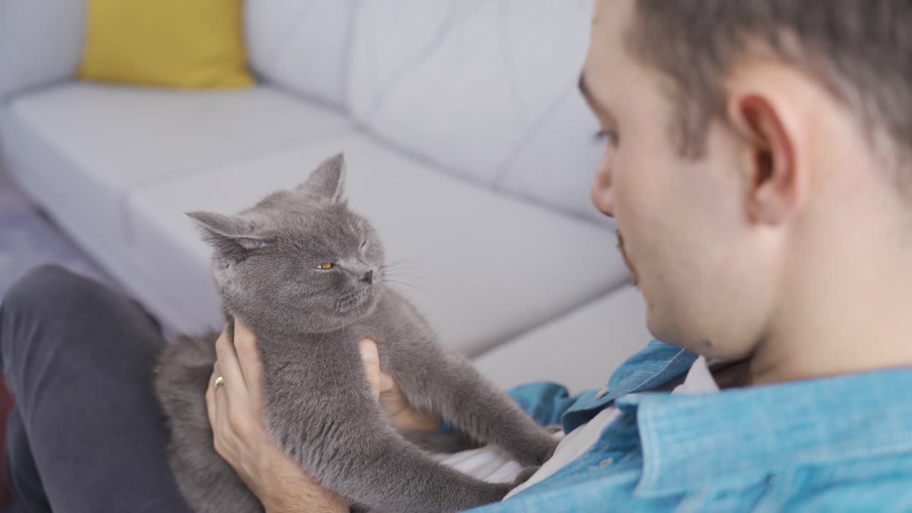 Il gatto e l'uomo si guardano. Amore per gli animali domestici