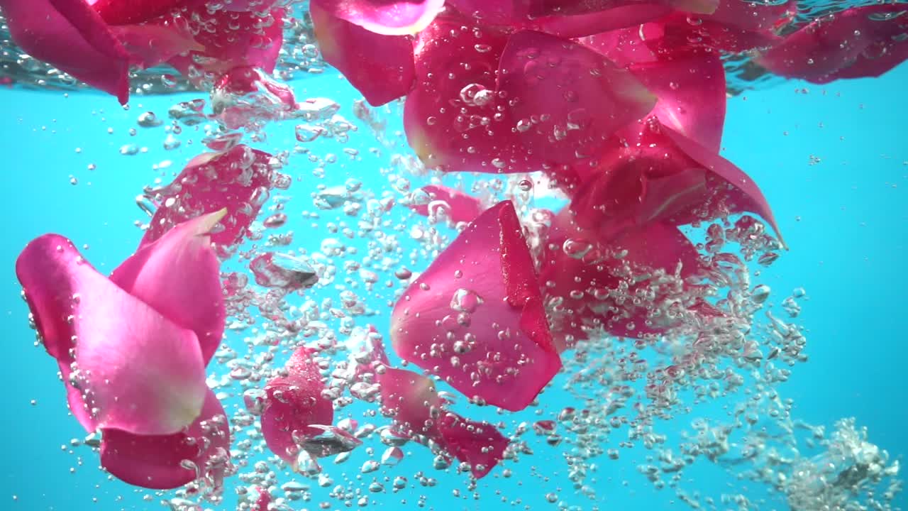 Petali di rose cadono nell'acqua. Sfondo. Movimento rallentato.