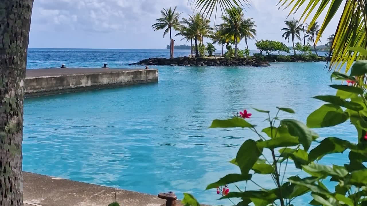 Bora Bora Island Harbor in Vaitape Village, French Polynesia, Palm Trees and Turquoise Water