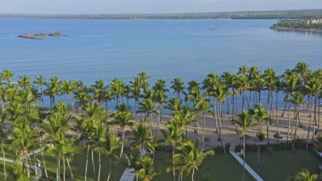 jardín exótico del resort la ensenada en playa nueva romana, república dominicana