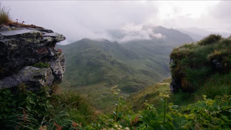 view from mountaintop in austrian alps with clouds in background and rocks and flowers in the foreground