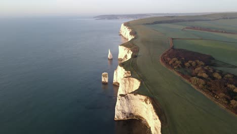 verdant landscape on old harry rocks cliff, purbeck island in dorset