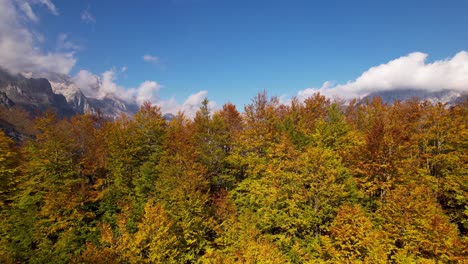 autumn color palette in tall tree peaks with alps mountains background in a cloudy day