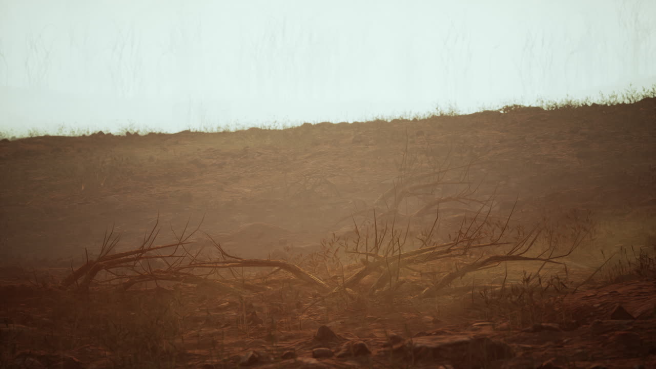 пустынный, туманный пейзаж