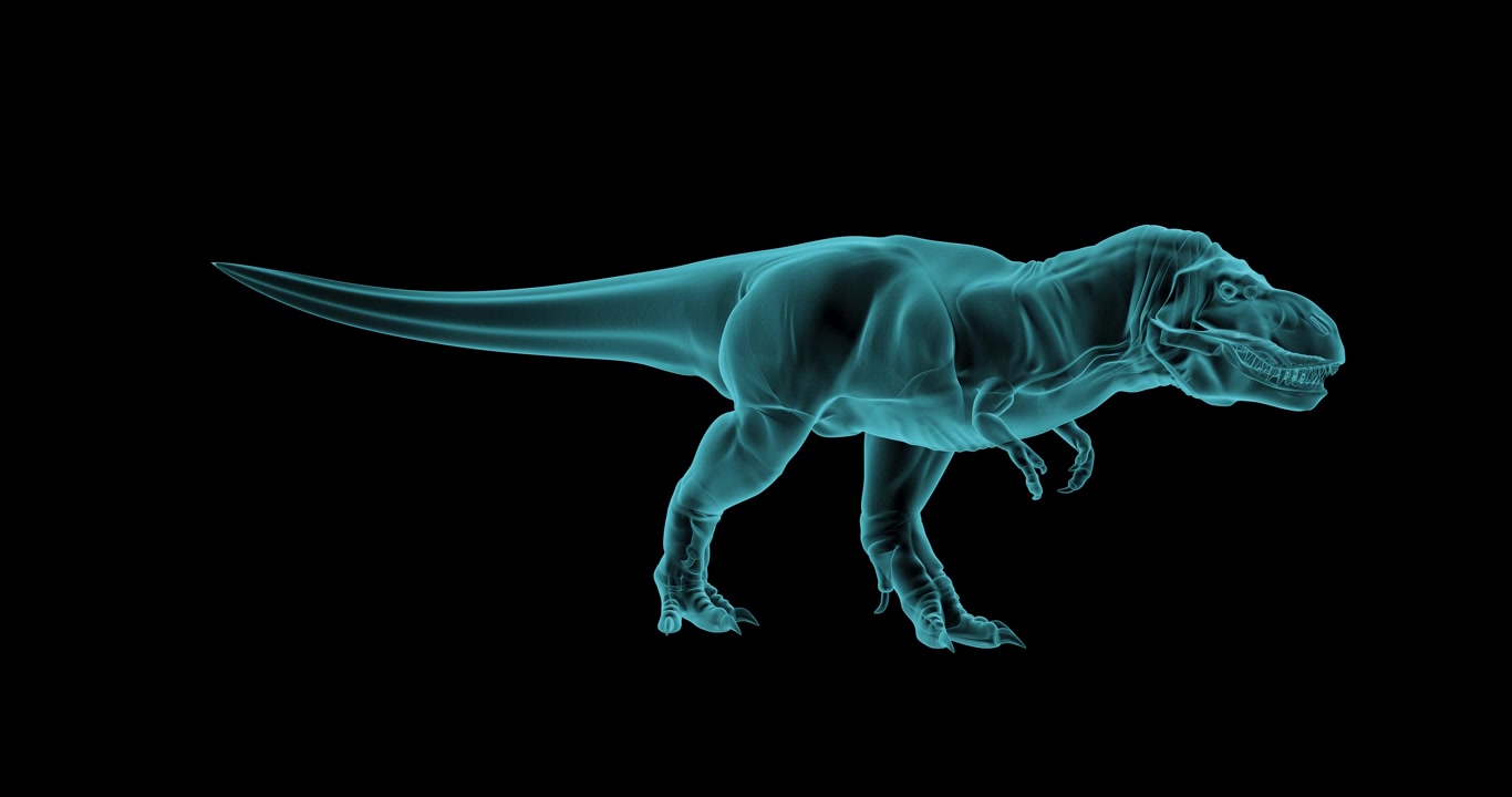 Struttura a raggi X di dinosauro in olografia