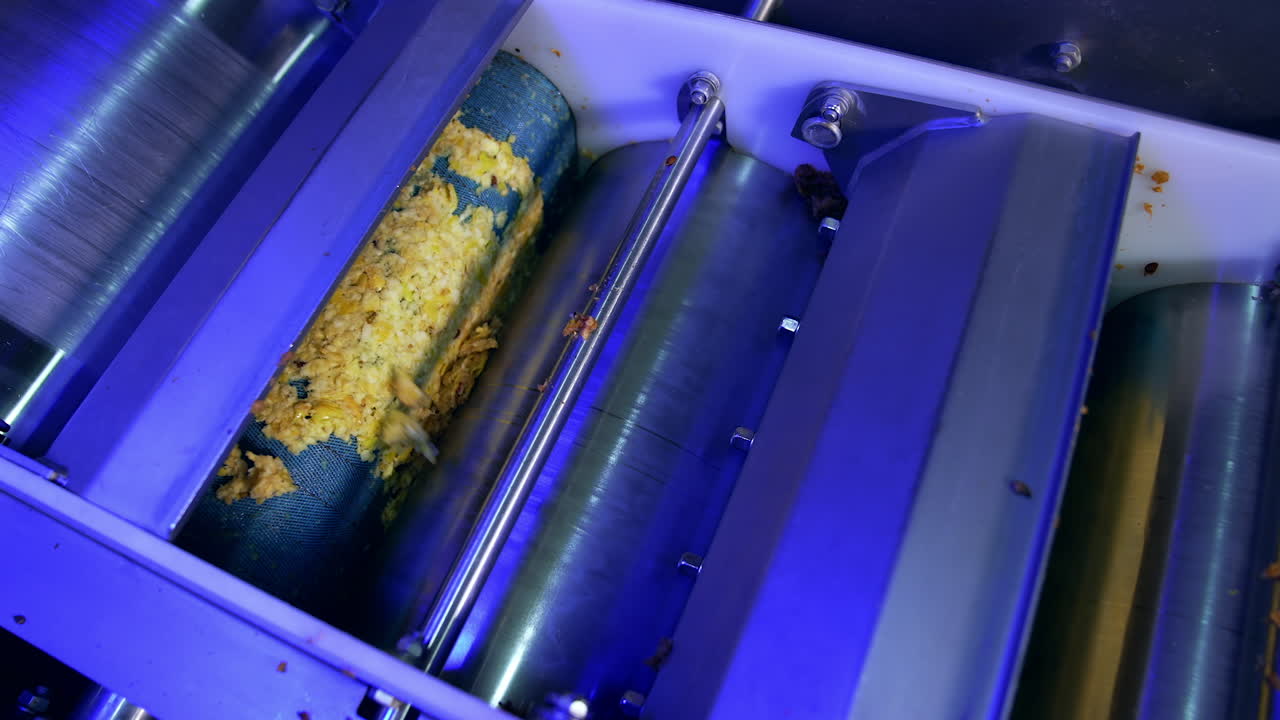 Squeezed apple pieces are sent between rotating shafts. Apple juice production at the modern food factory.