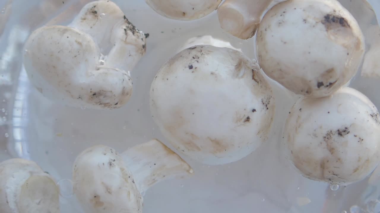 Mushrooms in Ice Water