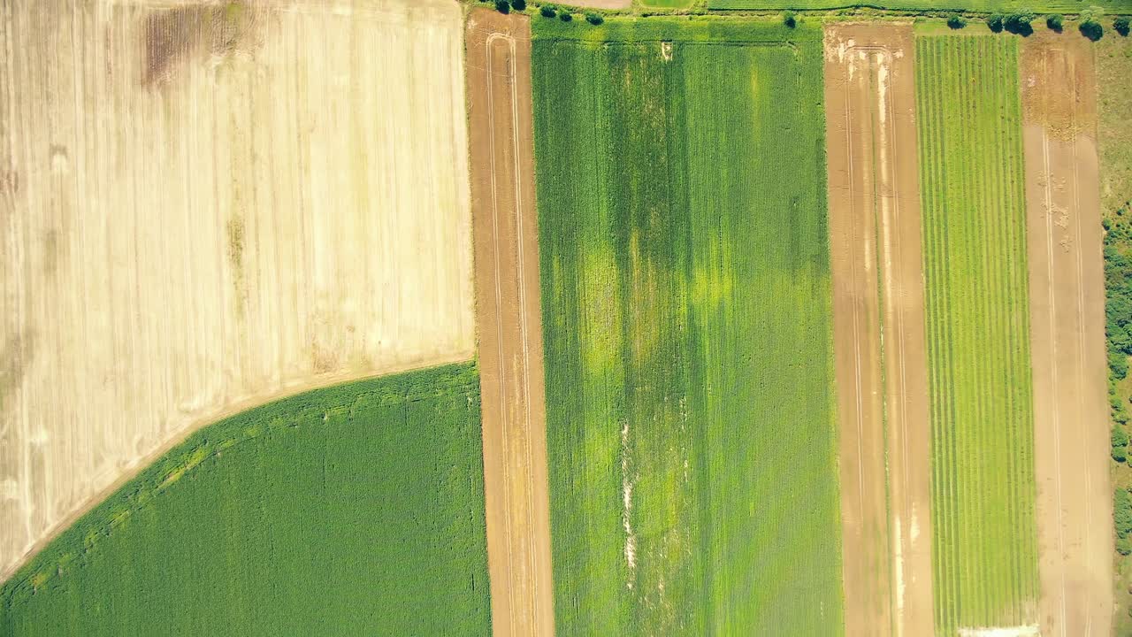 Bird's eye view of agricultural area and green wavy fields in sunny day
