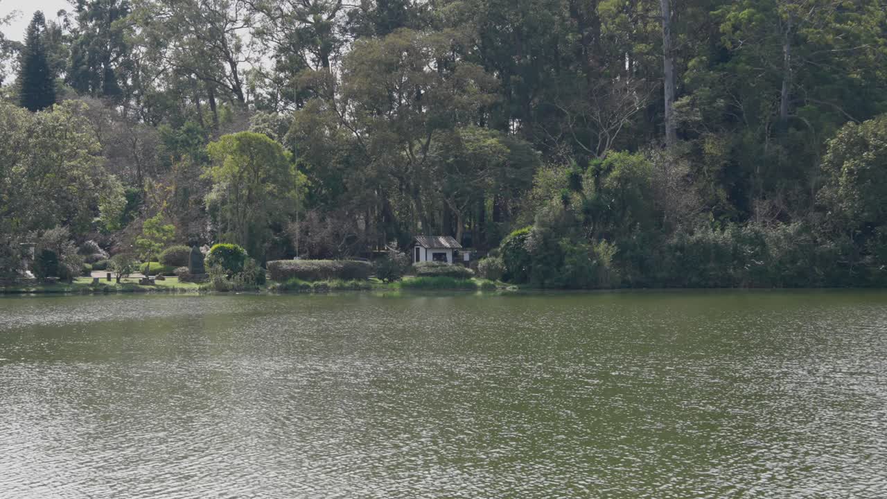 Wide shot of the calm lake in Ibirapuera Park, São Paulo, with a small white structure nestled among trees and soft reflections on the water