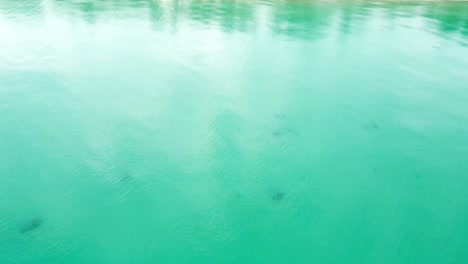 aerial top-down view of the sea surface with deep blue water, moving forward