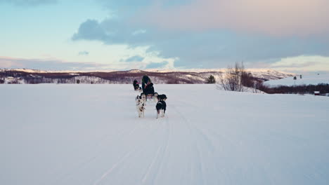 two husky sled dog teams pulling a sled through the norwegian snowy landscape