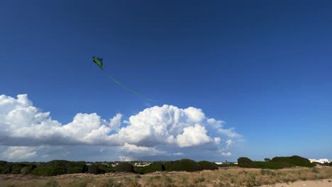 green kite with long tail flying twirling and