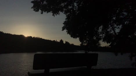 4k handheld footage of a bench underneath a tree in front of a river at sunset in the pacific northwest of america