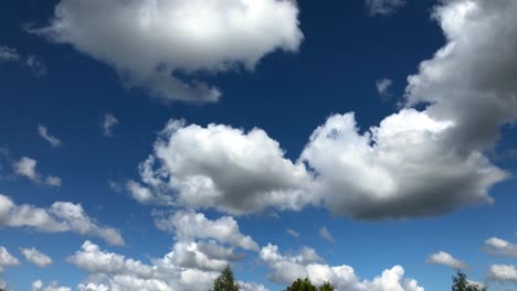 Cumulus-clouds-moving-in-the-blue-sky-above-treetops