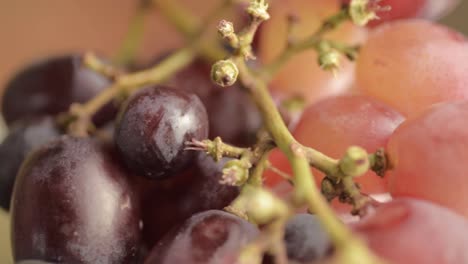 racimo de uvas rojas girando primer plano