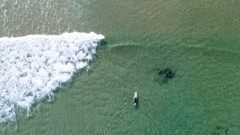 aerial top view of a man lying down and resting on his surf board in the water as a wave rolls underneath him