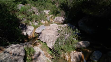 Low-level-aerial-view-of-a-high-mountain-stream-and-river-within-the-forest