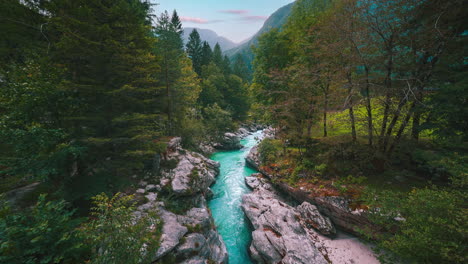 Soča-Gebirgsfluss-Im-Triglav-Nationalpark-Slowenien,-Slowenische-Alpen-Mit-Waldbaumnatur