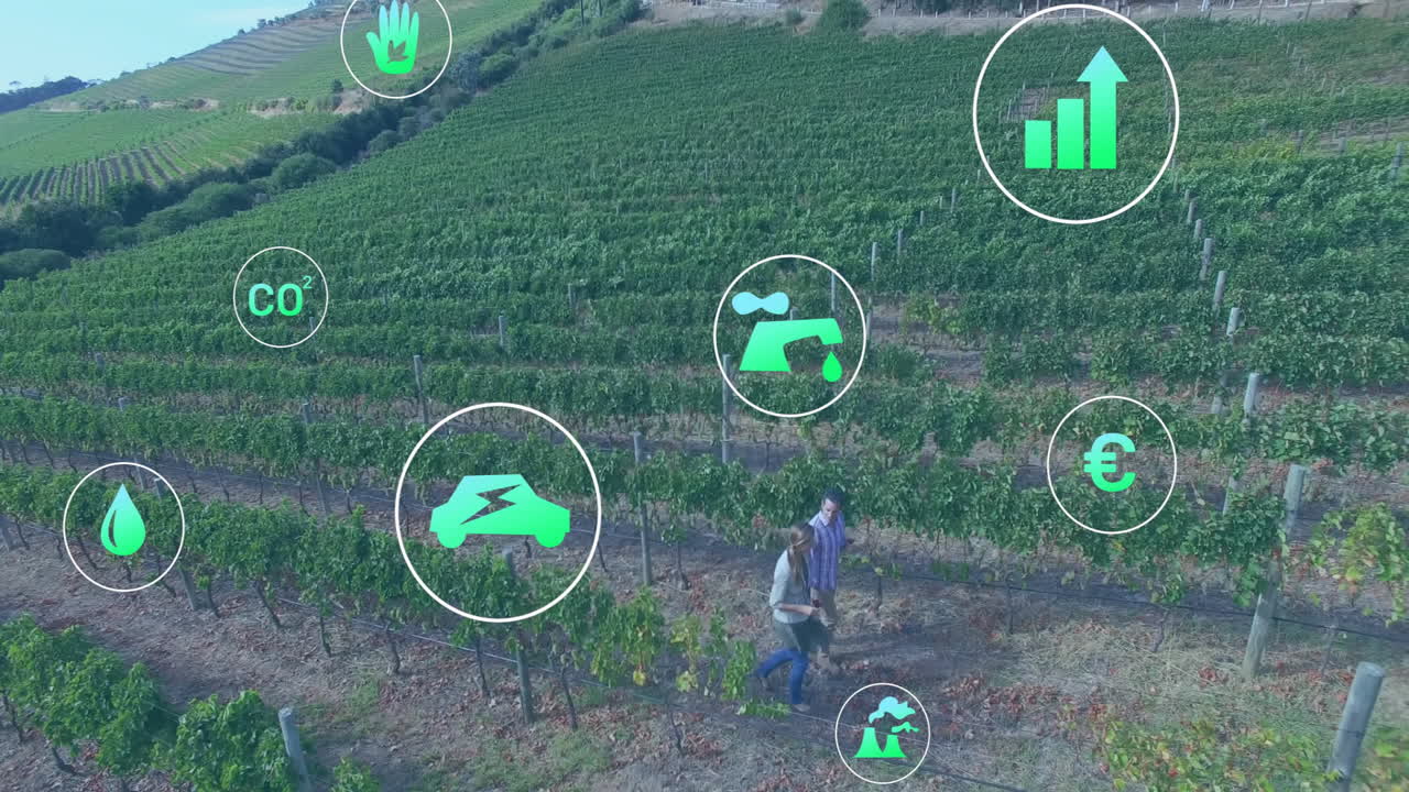 Vineyard workers walking through terraced hills, discussing digital sustainability icons