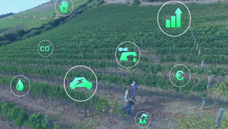 vineyard workers walking through terraced hills, discussing digital sustainability icons