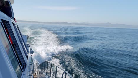 whale watching catamaran cruising at full speed on ocean towards harbour - hermanus, south africa