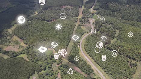 futuristic aerial drone view of the forest coverage