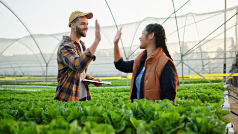 farmers celebrating successful crop in greenhouse