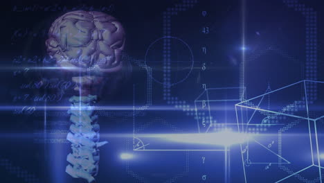 animación del cerebro con tecnología y procesamiento de datos