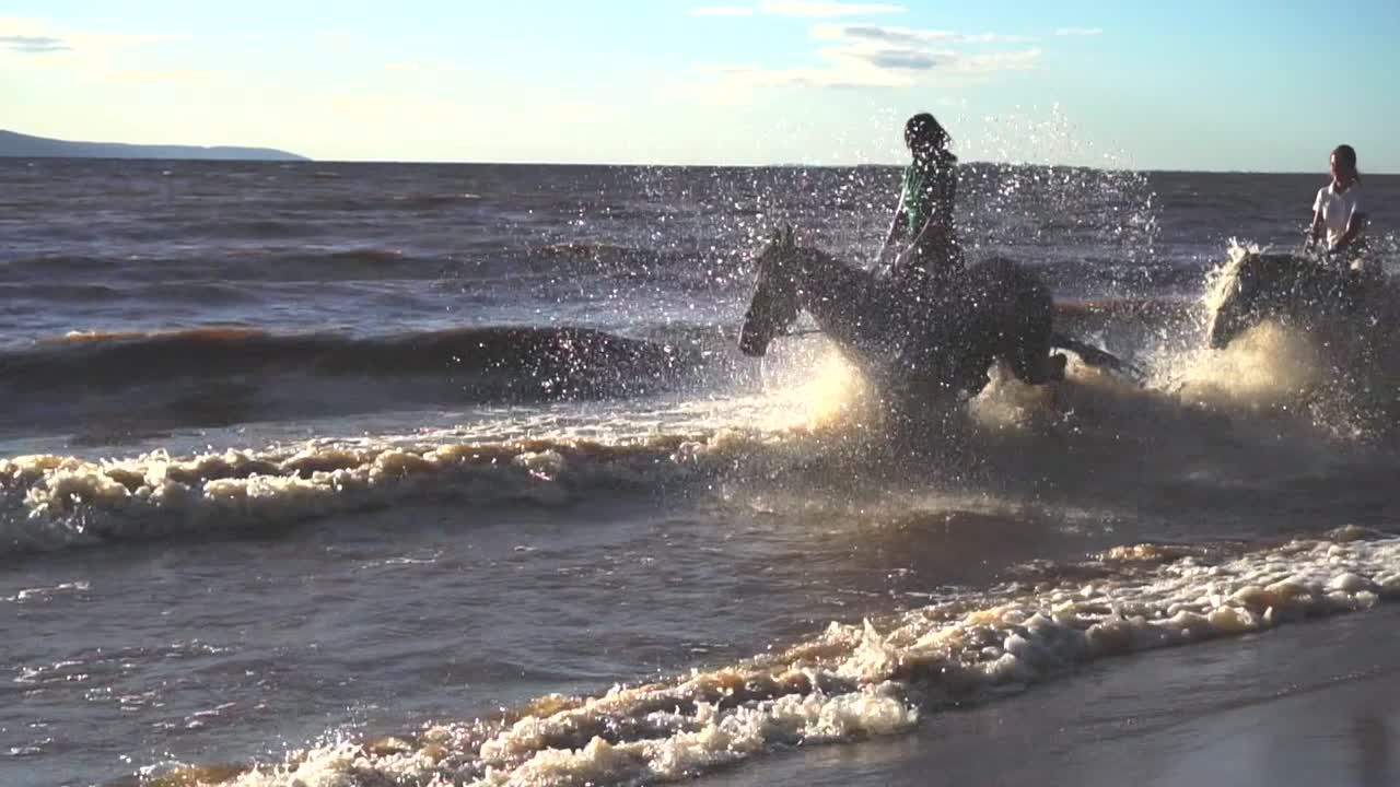 caballos montados en las olas del océano