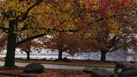 stanley park, autumn seawall, vancouver