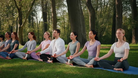 group meditation session in a park