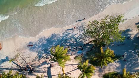 Palmeras-Tropicales-Con-Olas-Llegando-A-La-Orilla-De-La-Playa-En-La-Isla-De-Providencia,-Colombia