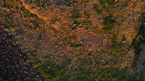 Rocky-Shore-Of-Cook-Island-During-Golden-Hour---Isolated-Island-Near-Fingal-Head-In-NSW,-Australia