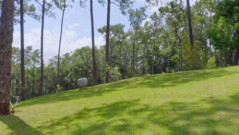 Green-lawn-in-garden-of-private-house-at-Jarabacoa,-Dominican-Republic