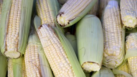 corn cobs for sale at the free market, vertical plan