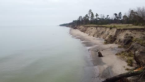 Aerial view of Baltic sea coast in overcast spring day, steep seashore dunes and fallen pine trees damaged by waves, coastal erosion, climate changes, low angle revealing drone shot moving forward