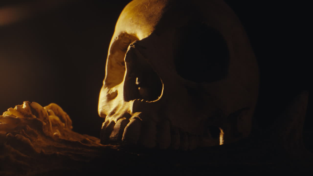 Skull and Antlers in Candlelight